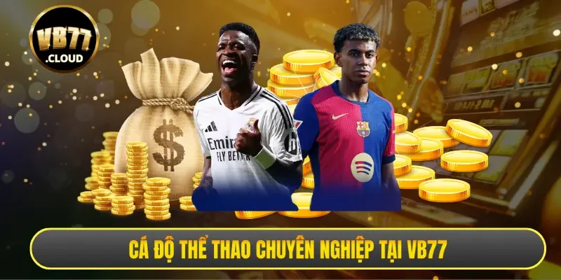 Cá độ thể thao chuyên nghiệp tại VB77